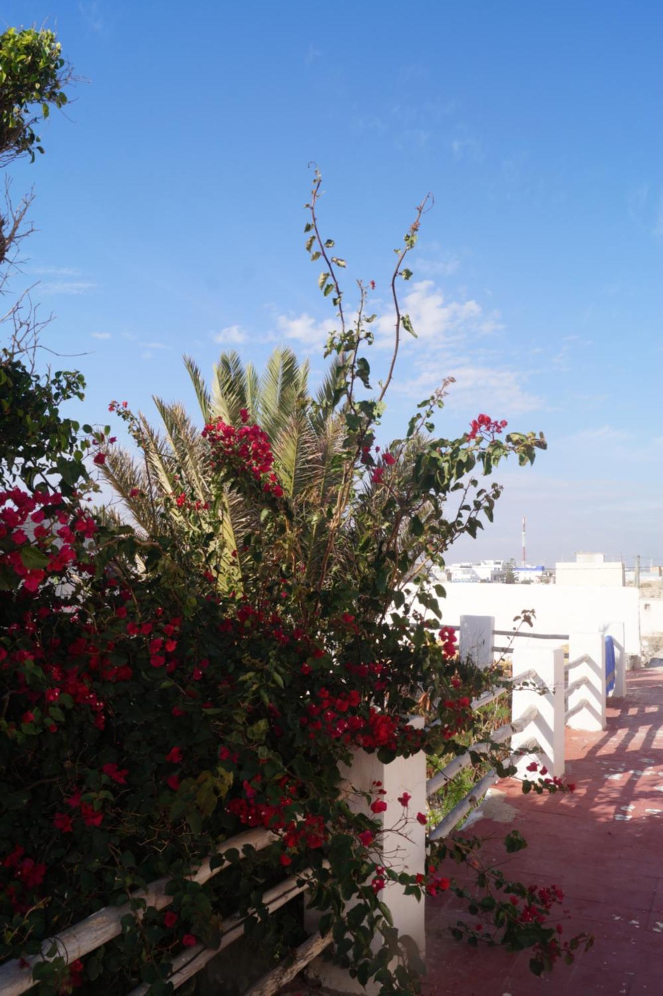 Sidi Kaouki Perla Hotel Eksteriør billede